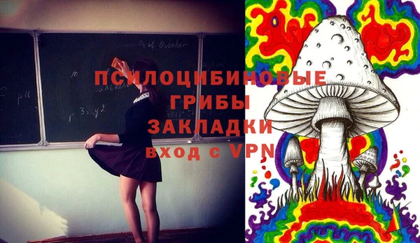 мескалин Елабуга
