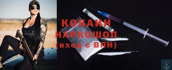 скорость Ельня