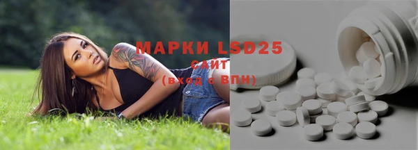 мескалин Елабуга